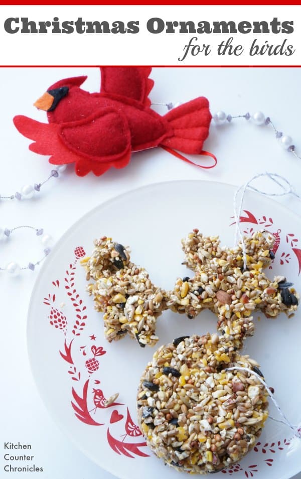 Bird Seed Christmas Ornaments - Celebrate Christmas with the birds. These ornaments are simple to make and looks so lovely hanging outside in a tree. Make them with the kids and watch the birds flock to your yard to eat a holiday treat. | Kids in the Kitchen | Christmas Ornaments | Handmade Christmas | Make a Bird Feeder | Bird Seed Ornament |