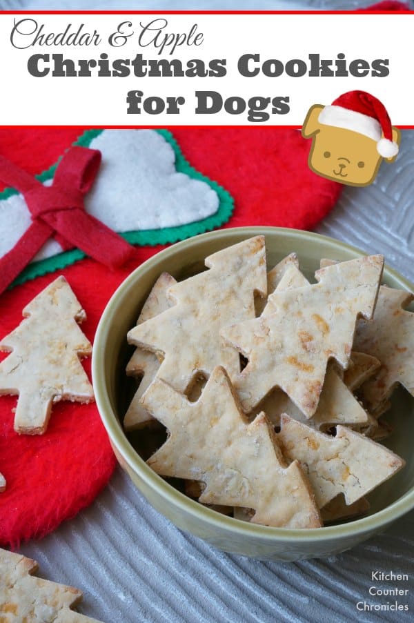 Cheddar and Apple Dog Christmas Cookies - Bake up a batch of these dog biscuits. Using ingredients that are safe and healthy for dogs (rice flour and no sugar or salt). A fun way to show your love for your four footed friends. | Dog Biscuit Recipe | Baking with Kids | Christmas for Dogs |