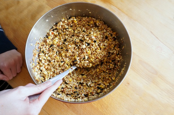 Bird Seed mixed