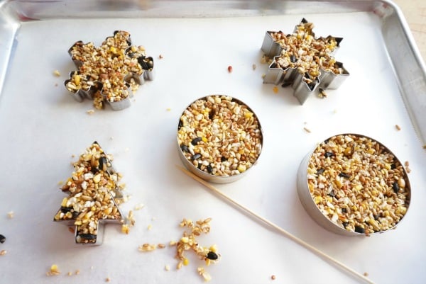 Bird Seed in Christmas Ornaments