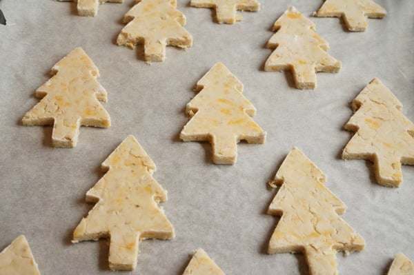 unbaked-cheddar-and-apple-dog-christmas-cookies