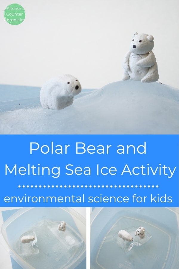 polar bear activity for kids melting sea ice activity for kids bears on top of ice