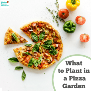 What to Plant in a Pizza Garden