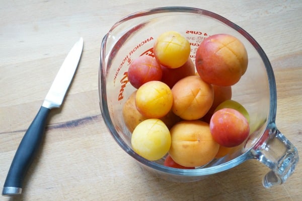 plums in pyrex for peeling