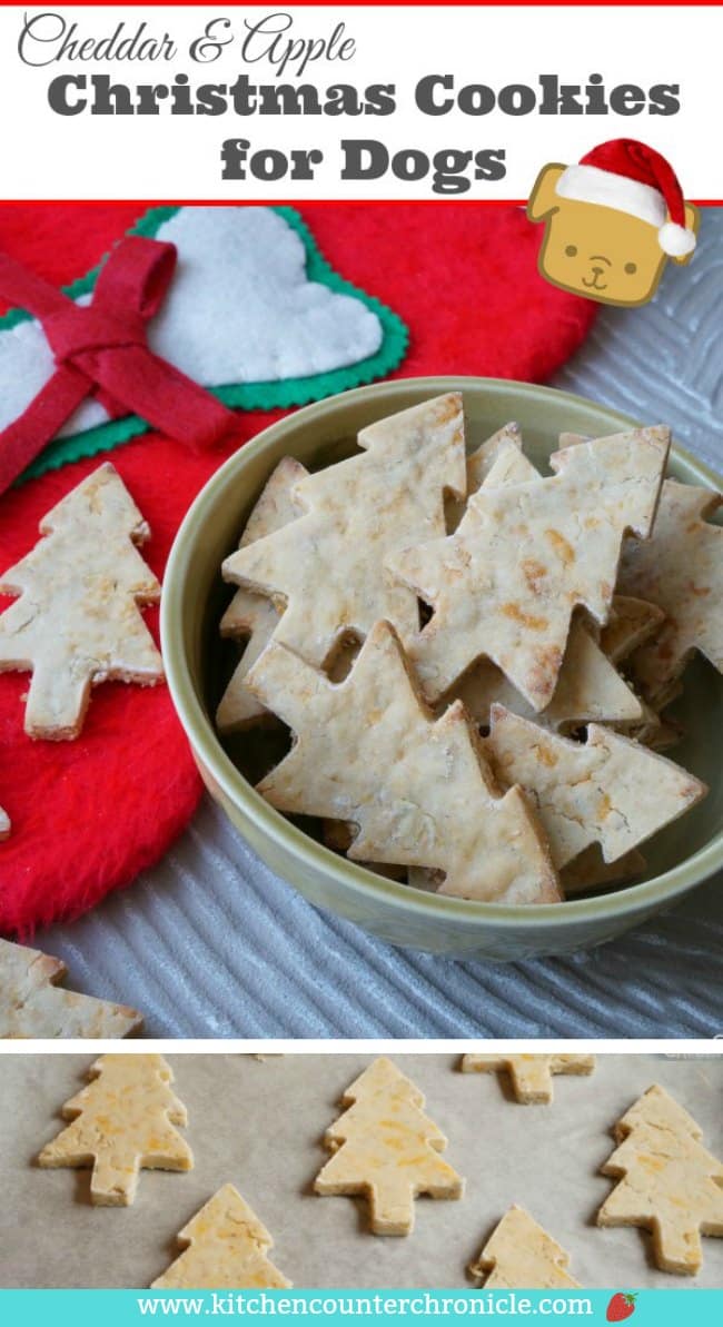 Apple and Cheddar Dog Christmas Cookies - Your dog is going to love this cheesy cookie! What dog doesn't love cheese?! #dogcookies #christmasdog #dogtreatrecipe #dogdiy