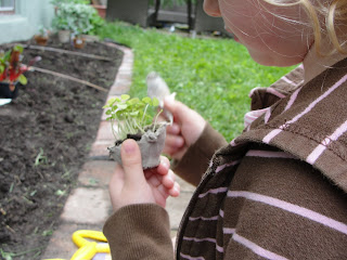 child holding egg carton with basil seedlings growing inside