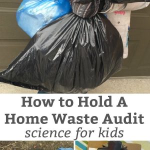 how to have a home waste audit