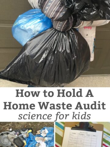 how to have a home waste audit