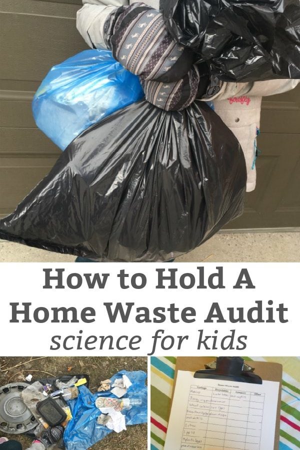 how to have a home waste audit