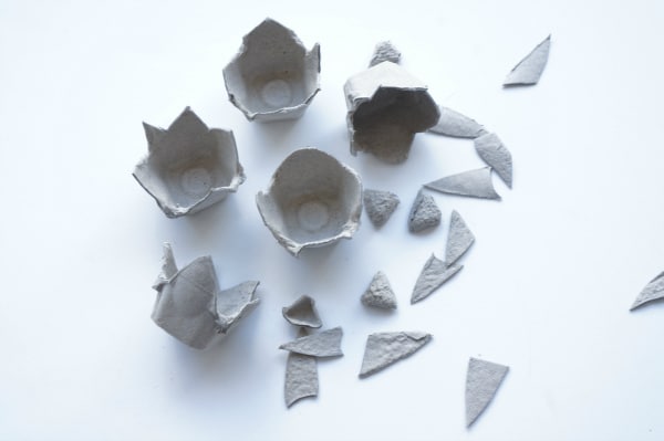 egg carton cut into pieces