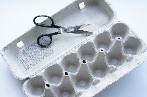 egg tray with scissors