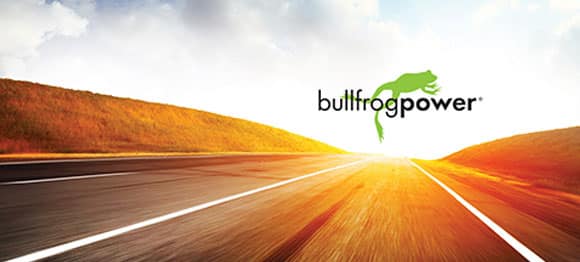 bullfrog green fuel