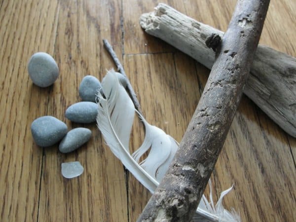 rocks and branches
