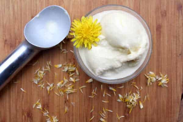dandelion ice cream recipe with ice cream scoop