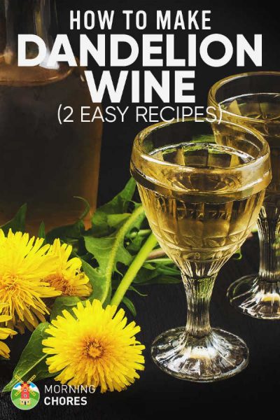 how to make dandelion wine