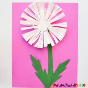 paper plate dandelion craft with white dandelion head