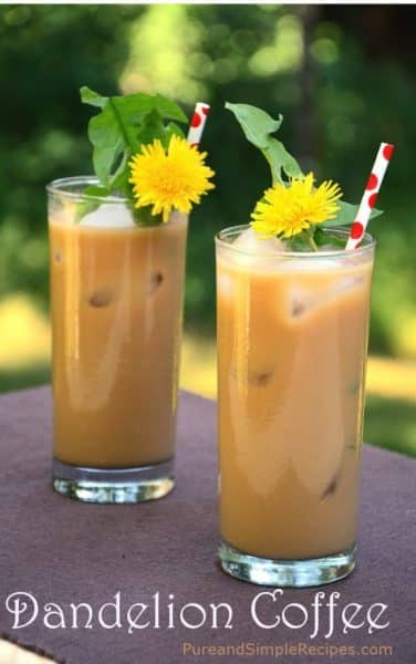 dandelion coffee