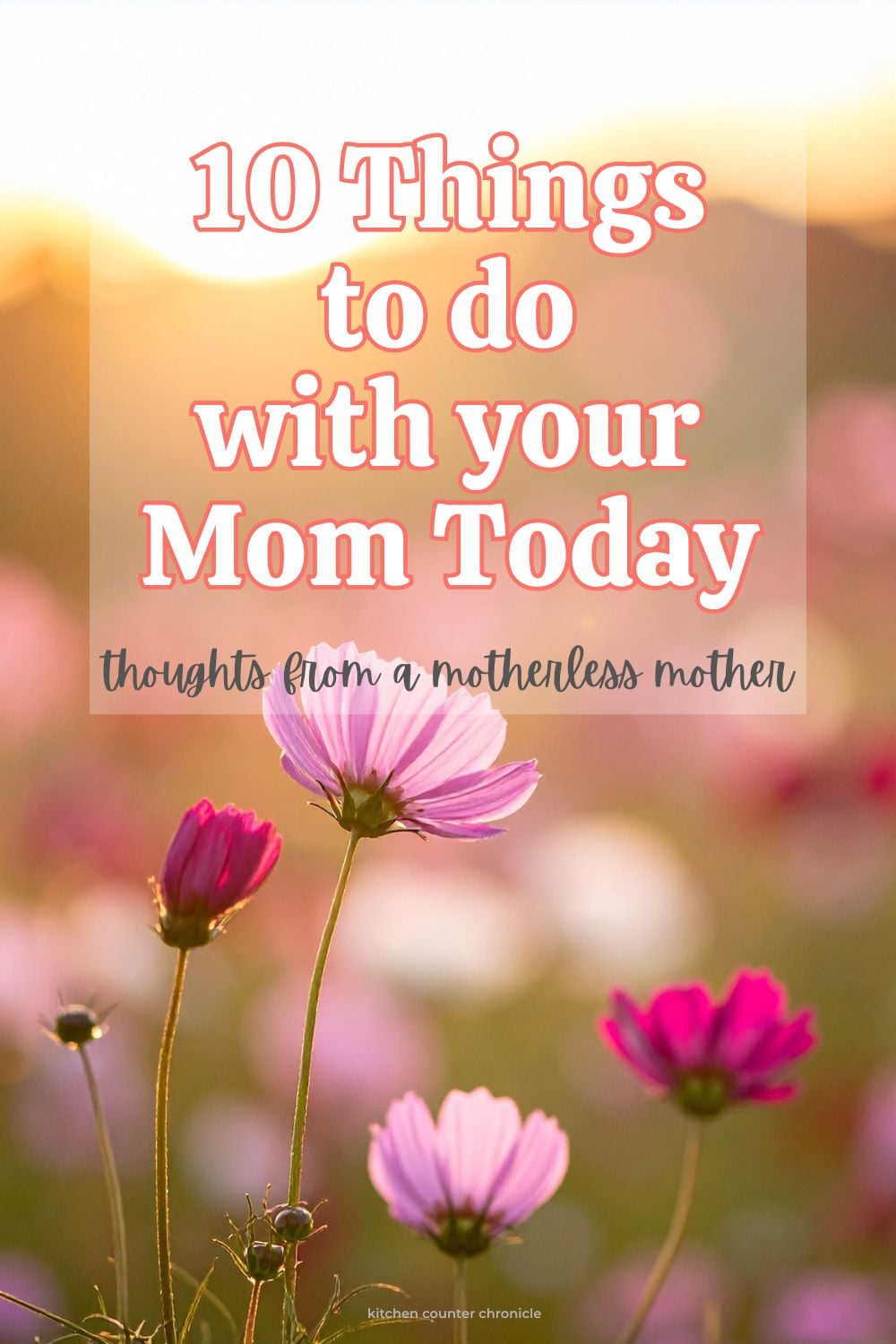 field of pink flowers with title 10 things to do with your mom, today pin image
