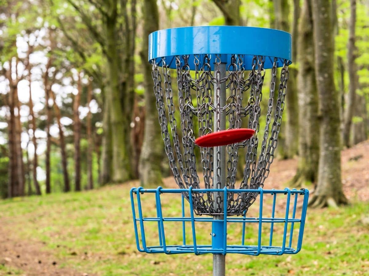 father's day frolf game frisbee in net