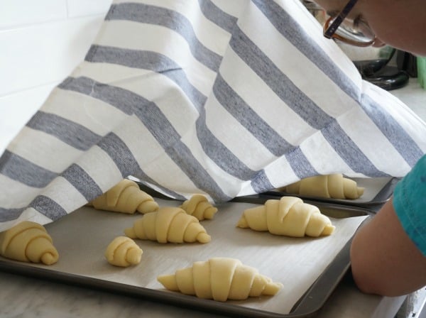 peaking at croissants