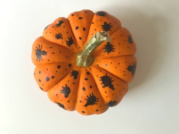 pumpkins with spiders