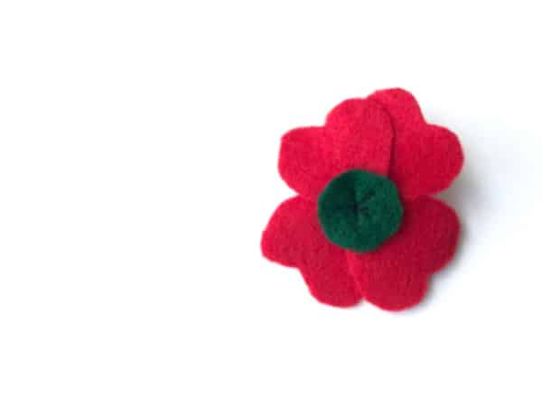 veterans day poppy pin done