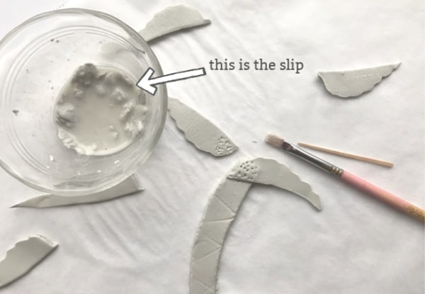 slip and palm leaves
