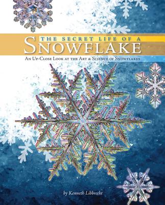 the secret life of snowflakes book