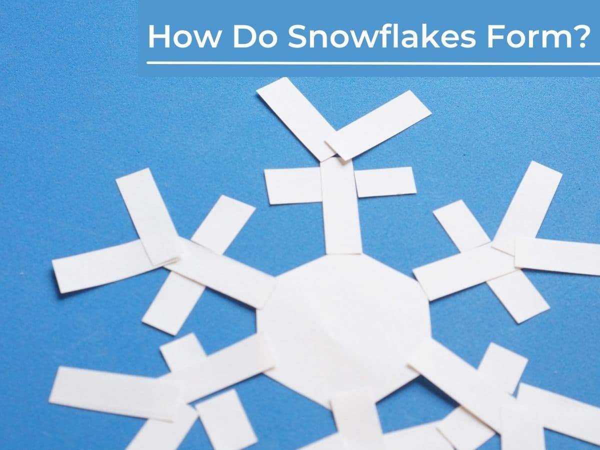 What Are Snowflakes?  Center for Science Education