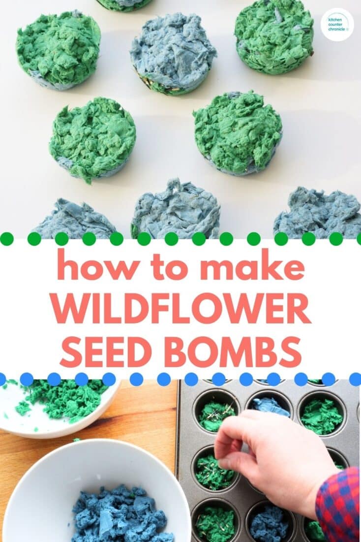 title "how to make wildflower seed bombs" with image of green and blue paper wildflower seed bombs