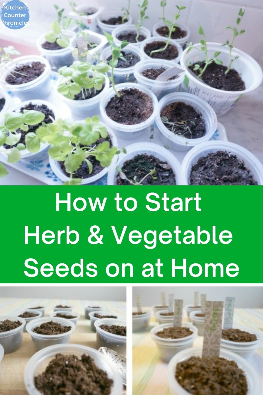 how to start seeds indoors