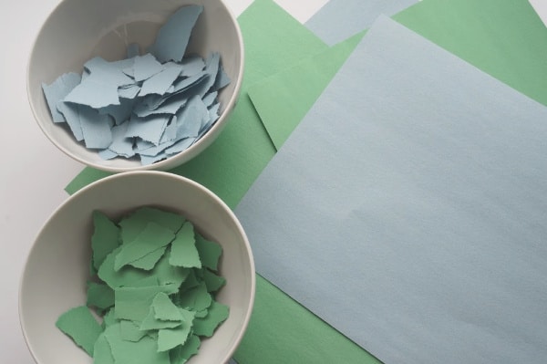 ripped construction paper for seed ball