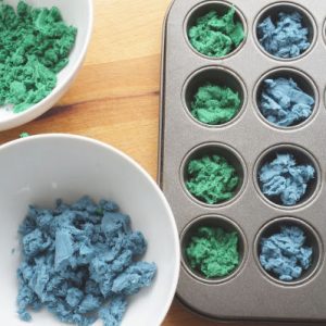 seed bomb paper mash in muffin tin