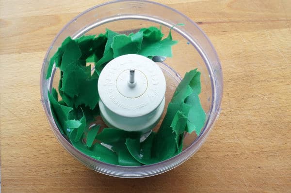 soaked paper in food processor