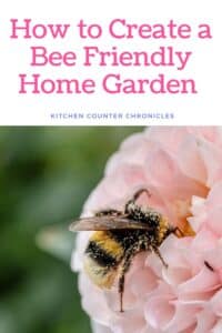 how to make a bee garden at home