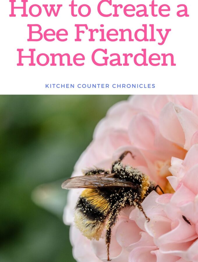 how to make a bee garden at home