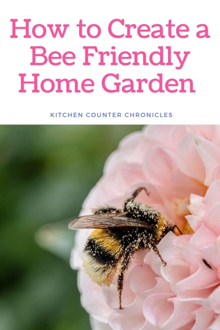 how to make a bee garden at home