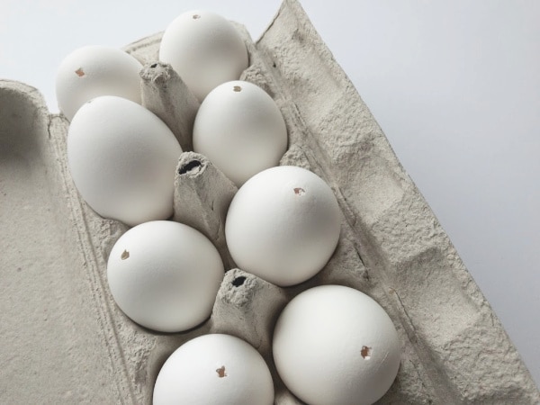 plain blown out eggs in carton