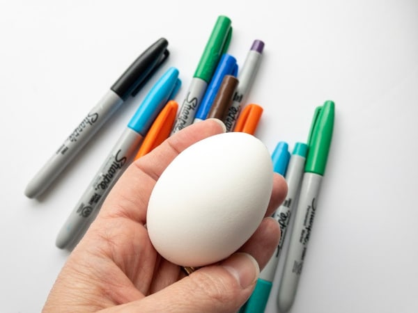 plain egg with sharpies markers