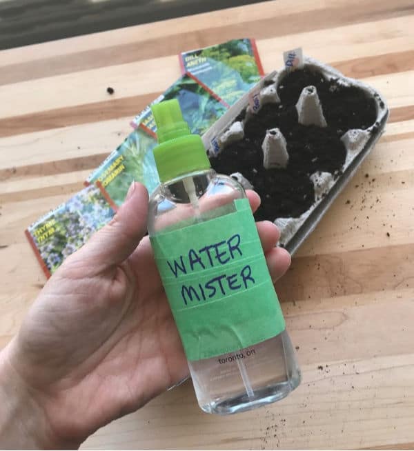 water mister with egg carton seeds