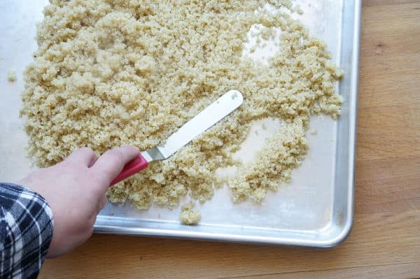 cooked quinoa spread on baking sheet to cool