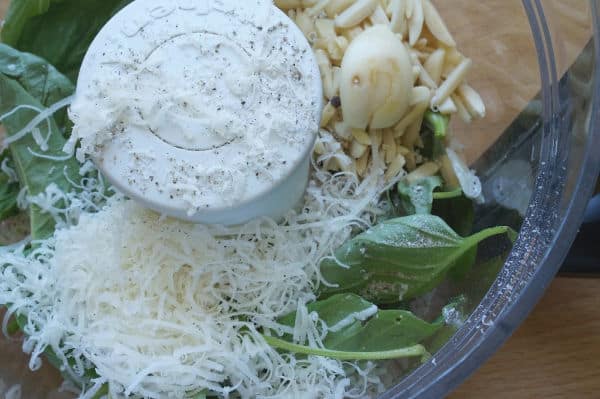 pesto ingredients in food processor