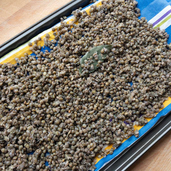 cooked lentils on baking sheet