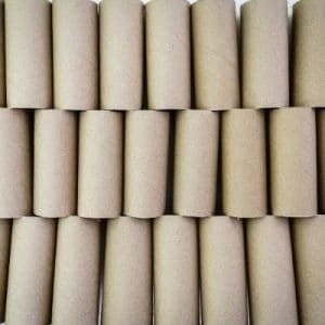empty toilet paper rolls