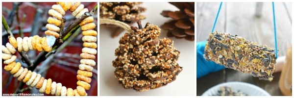 simple bird feeders to make pine cone toilet paper roll