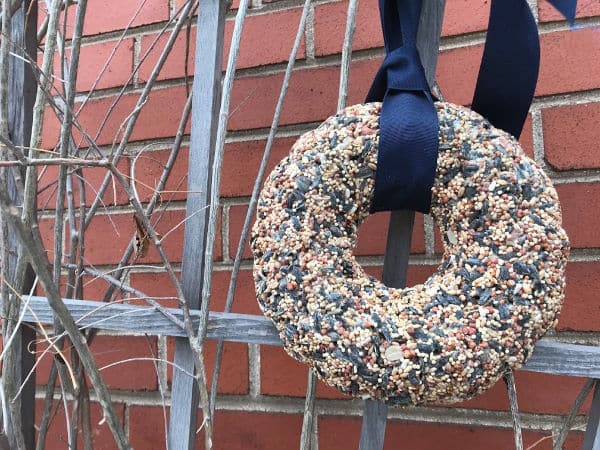 diy bird seed wreath hanging on trellis outsidt