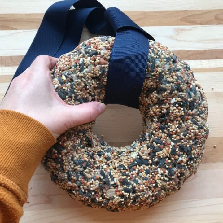 hand holding a diy birdseed wreath on a wooden tabletop