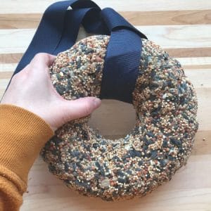 hand holding birdseed bird feeder wreath