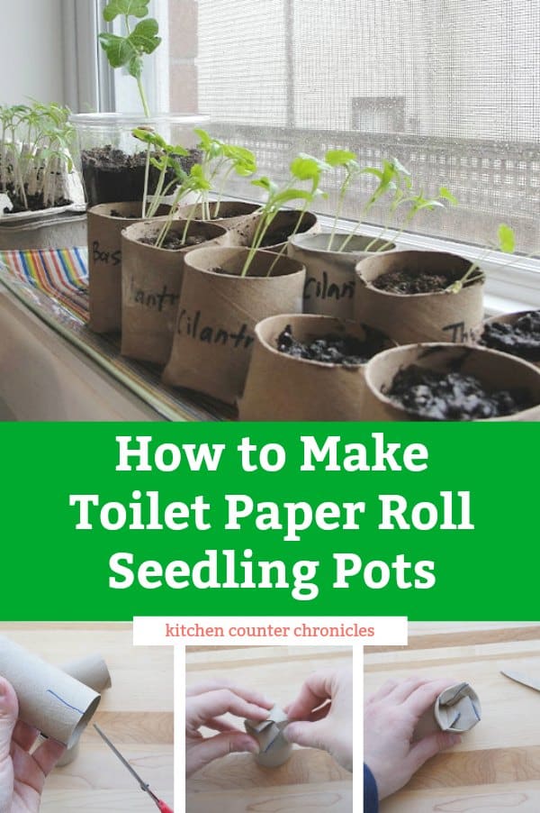 How to Make Toilet Paper Roll Seedling Pots