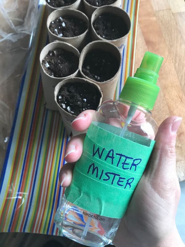 water mister for watering seedlings
